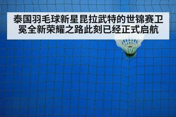 badminton training court