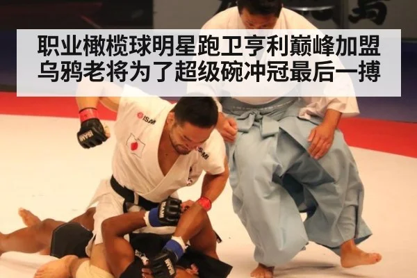 职业橄榄球明星跑卫亨利巅峰加盟乌鸦老将为了超级碗冲冠最后一搏